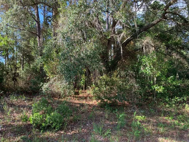 ACTUAL HOMESITE- TAKEN 6/12/2026