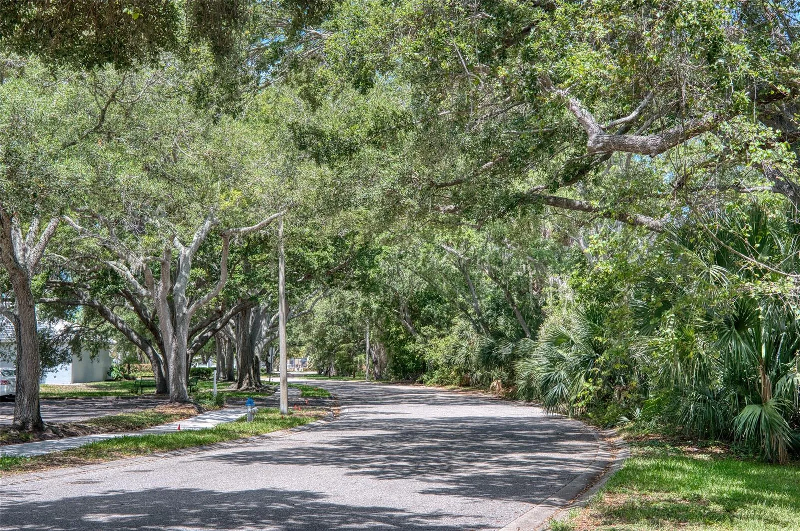 Lush mature landscaping around the Pinebrook Ironwood Circle