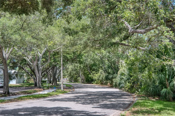 Lush mature landscaping around the Pinebrook Ironwood Circle