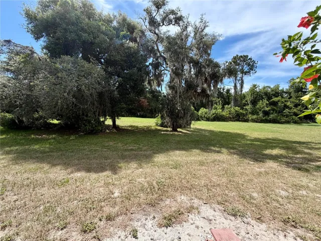 backyard view