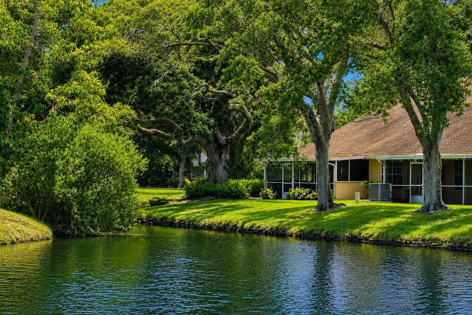 Lake behind the home
