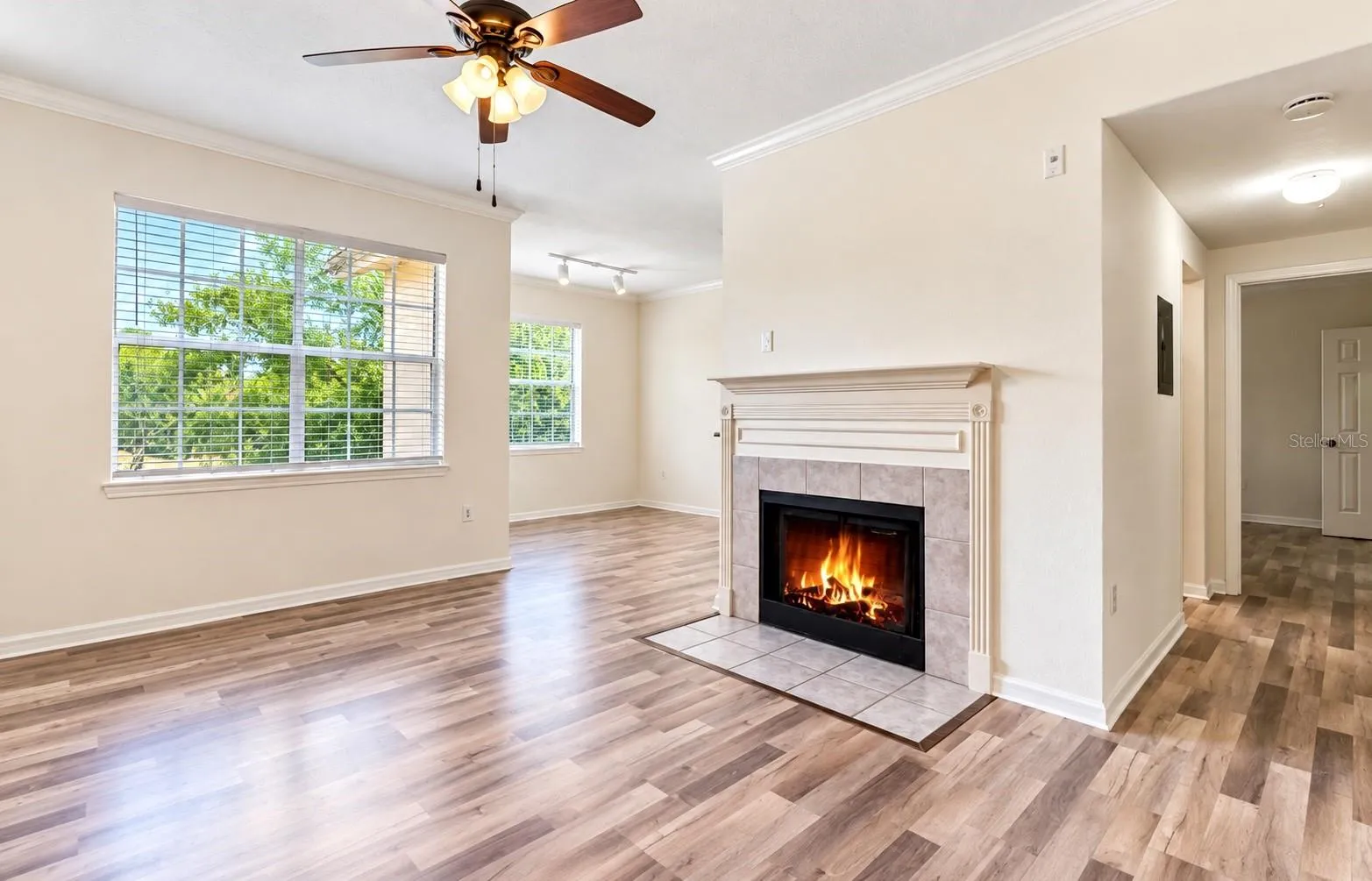 Living room/ Dining Room