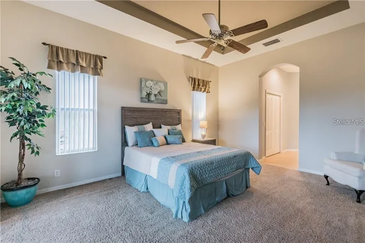 Master bedroom with tray ceiling