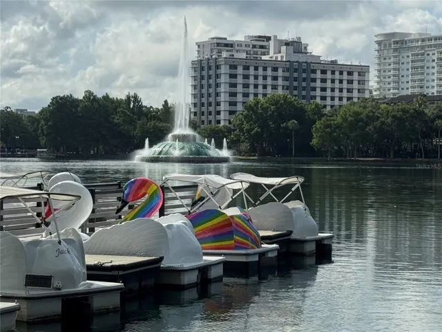 Swan boat rentals