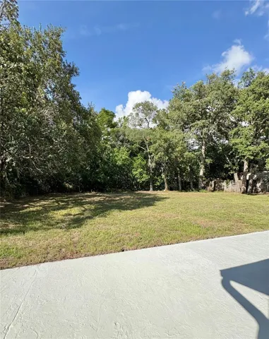 Back Yard