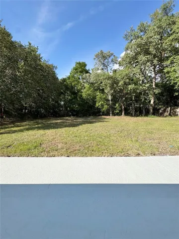 Back Yard