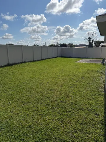 Back Yard1