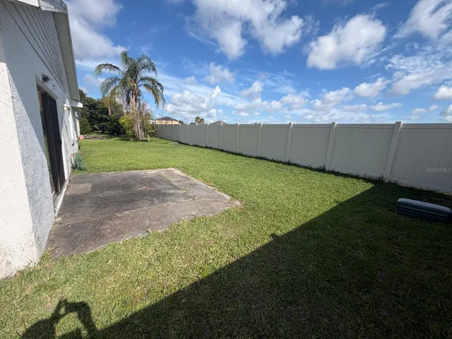 Back yard 2