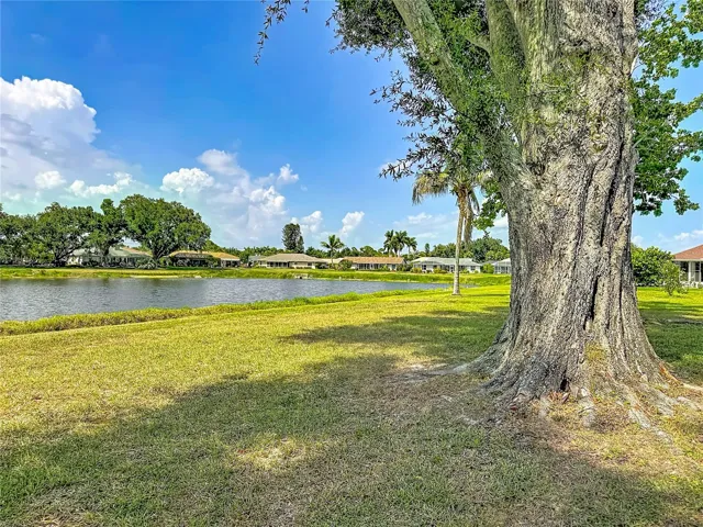 Back yard with pond view