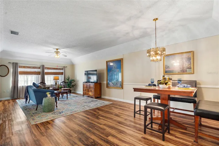 Dining / Living Room Open Space