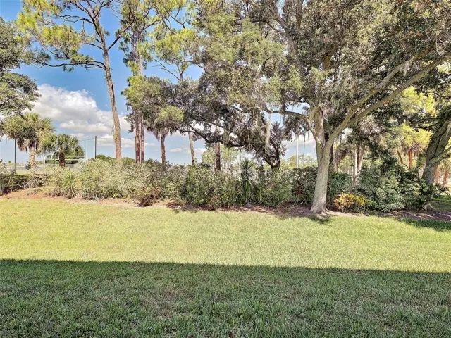 Back yard