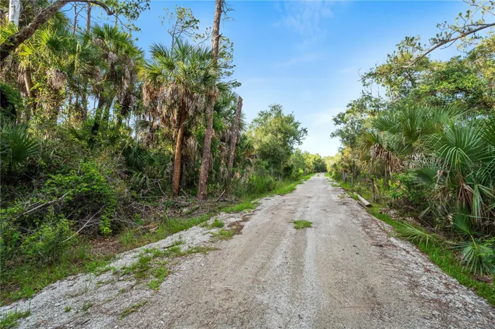 Enjoy the charm of a private road lined with mature oak trees and native landscaping.