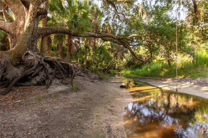 Natural Florida beauty at every turn.