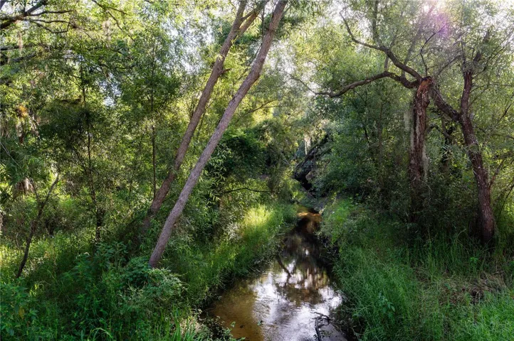 Creekside views and shaded pathways.
