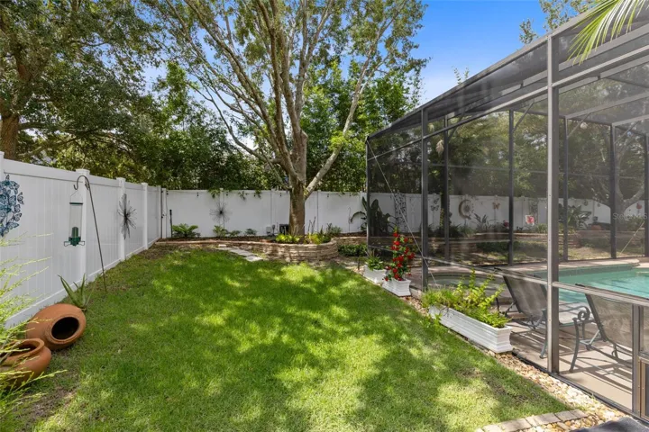 Left Side Yard