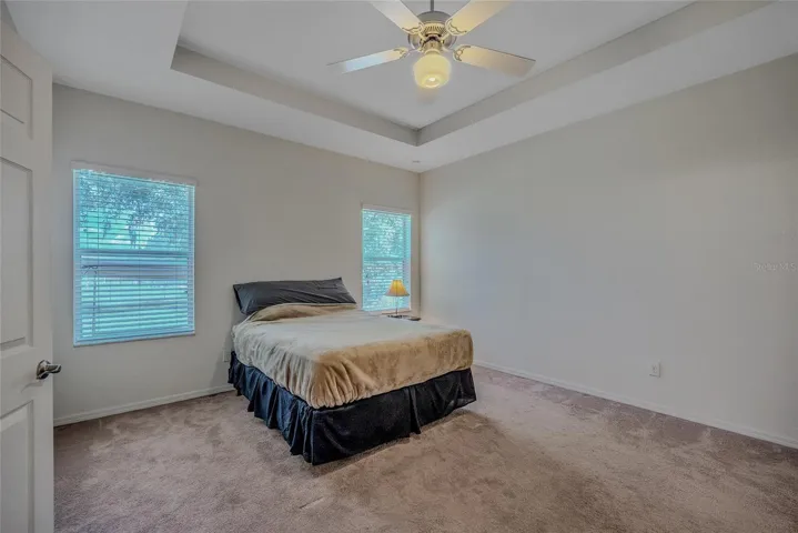 Primary bedroom with tray ceiling and carpet.