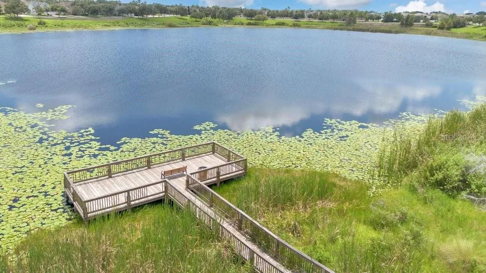Fishing Dock