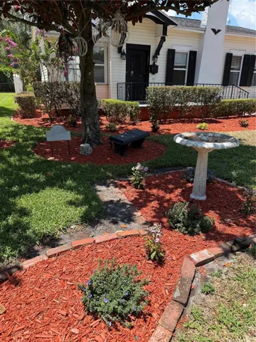 Front birdbath area