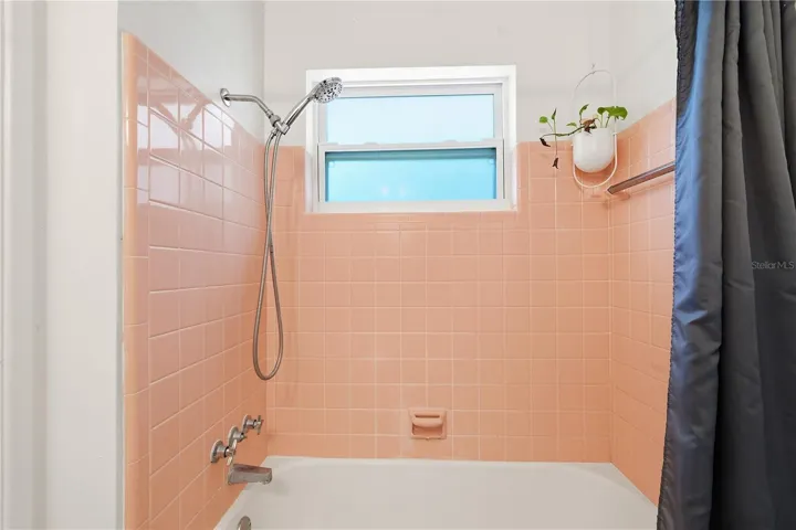 Handheld shower and tub