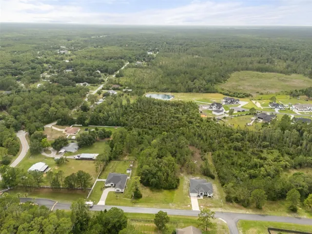 Birds Eye View