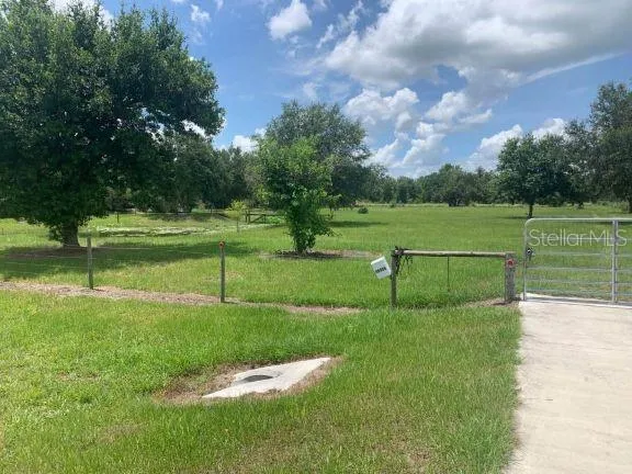 Vacant Land View