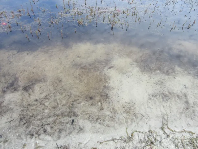 pristine clear lake water