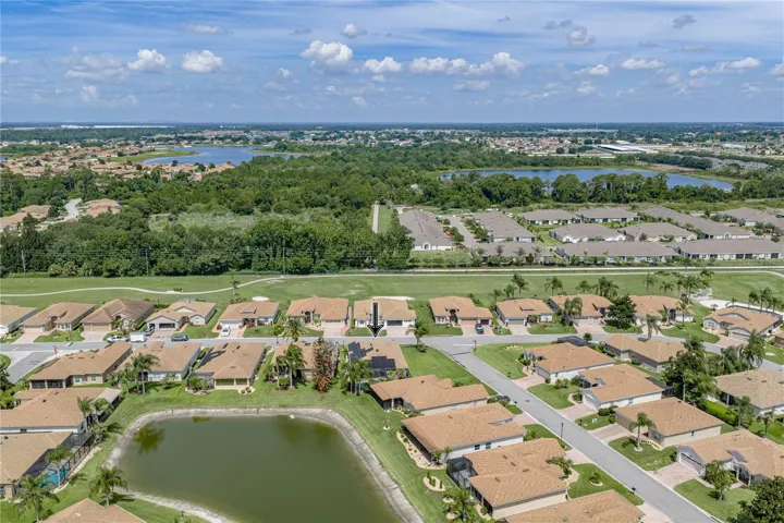 Neighborhood drone view