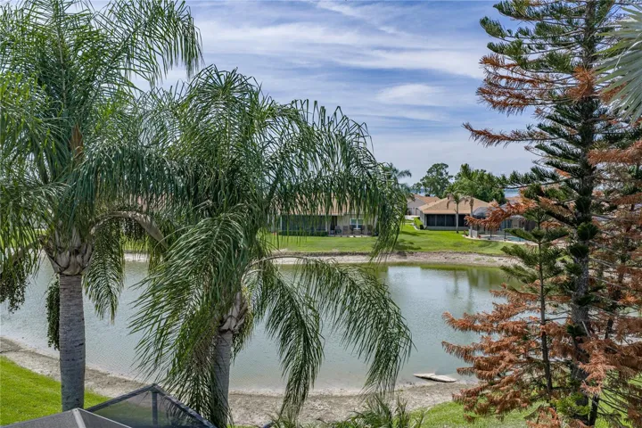 Back pond view