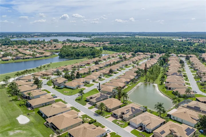 Neighborhood drone view