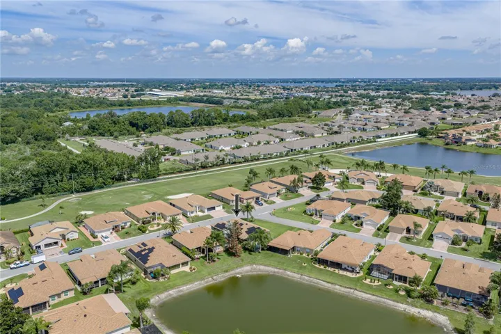 Neighborhood drone view