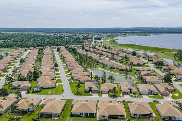 Neighborhood drone view