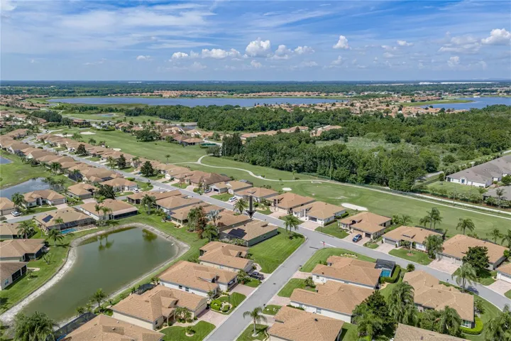 Neighborhood drone view