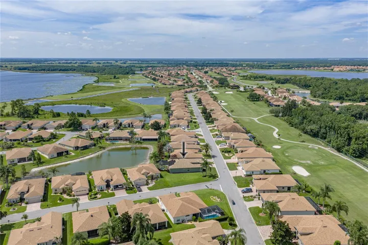 Neighborhood drone view