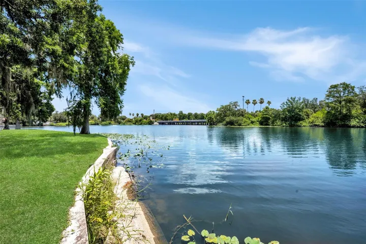 Hillsborough River waterfront