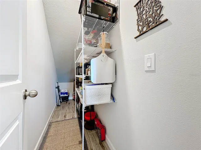 Pantry Under Stairwell