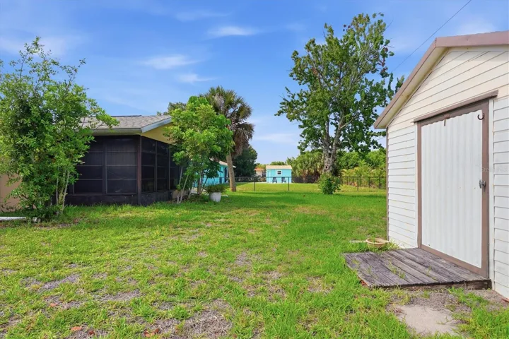 Back yard