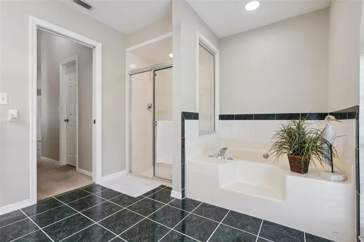 Garden tub and Walk-in Shower