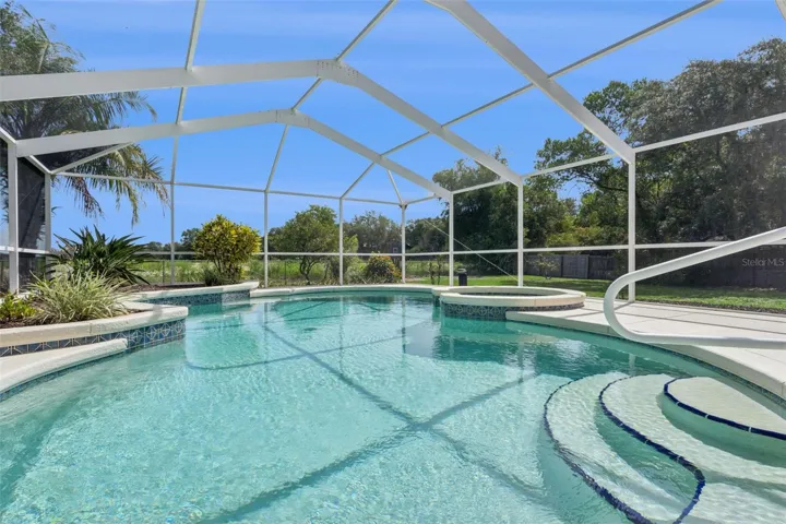 Lagoon-Style Pool and Spa