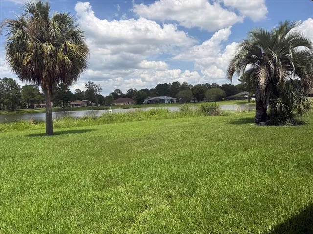 back yard
