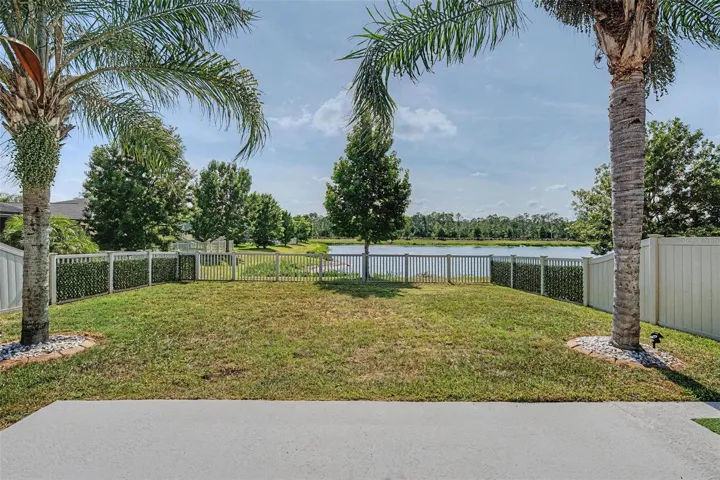 View from patio of yard and pond
