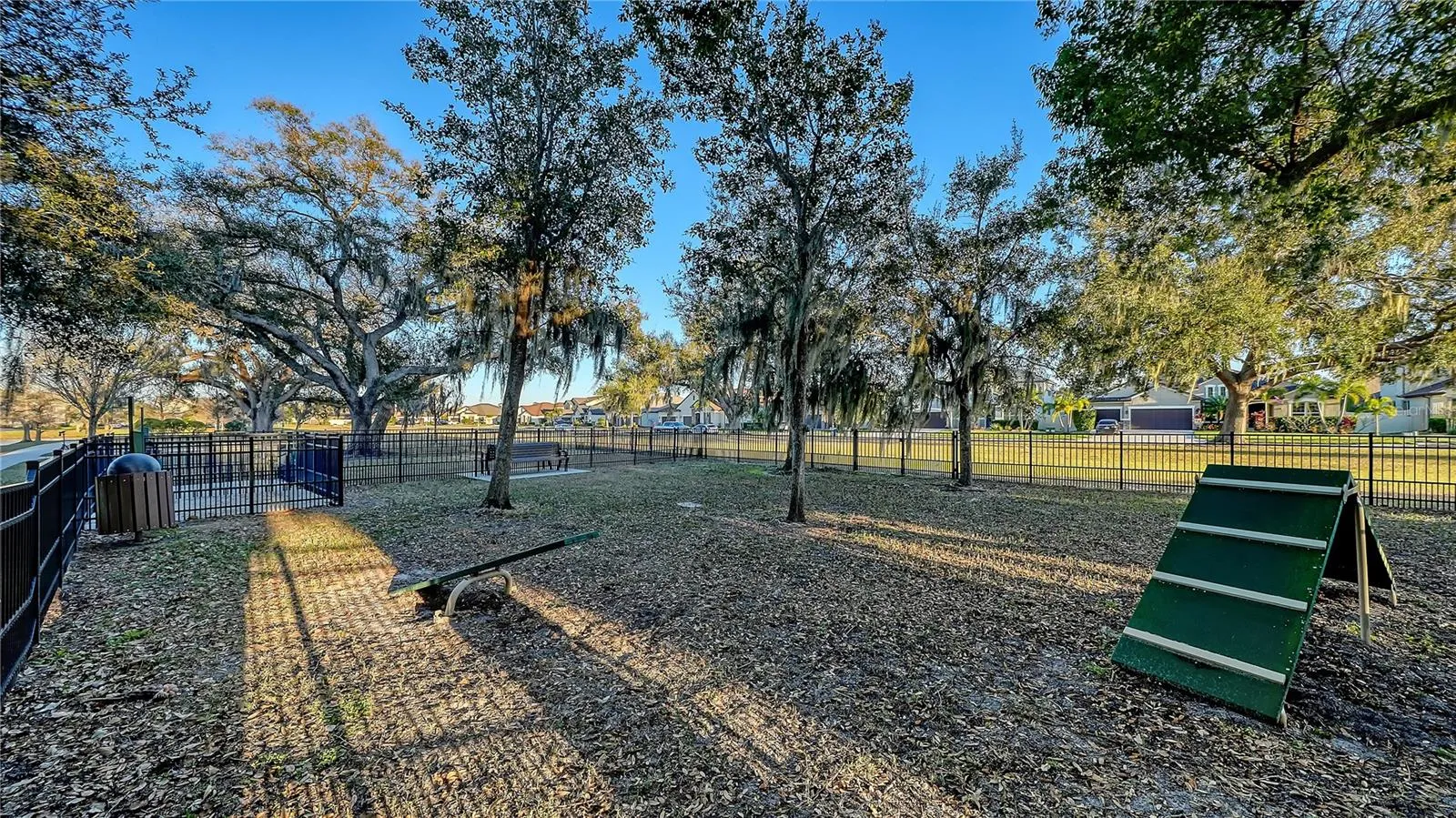 dog park