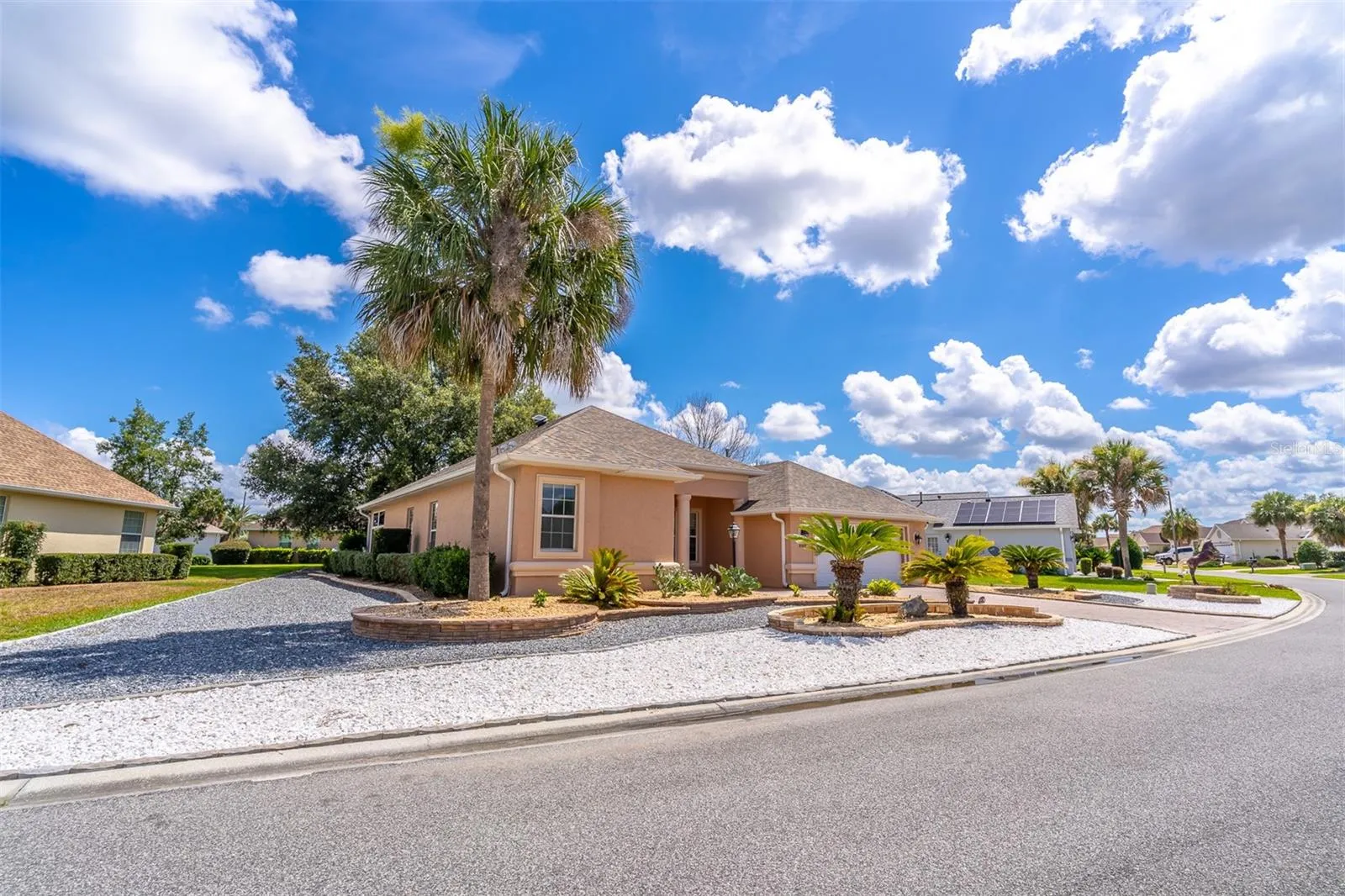 Sabal Palms