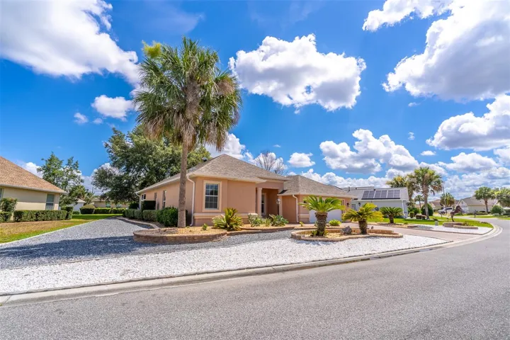 Sabal Palms