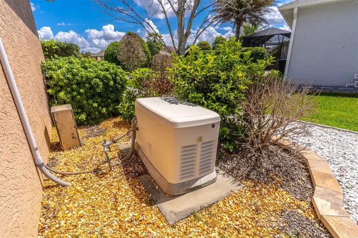 Whole house Generator