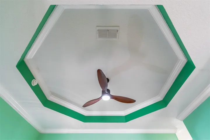 Tray Ceiling