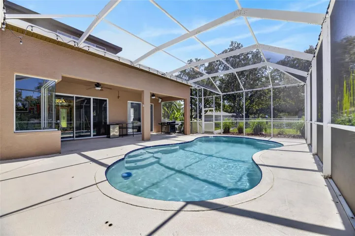 Pool/Rear View