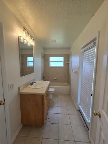 guest bath 2