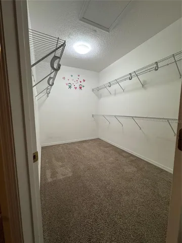 Master Bedroom walk in closet