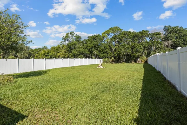 Very large backyard. Goes all the way beyond the trees.
