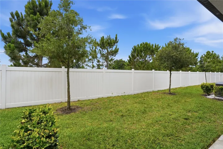 Backyard View